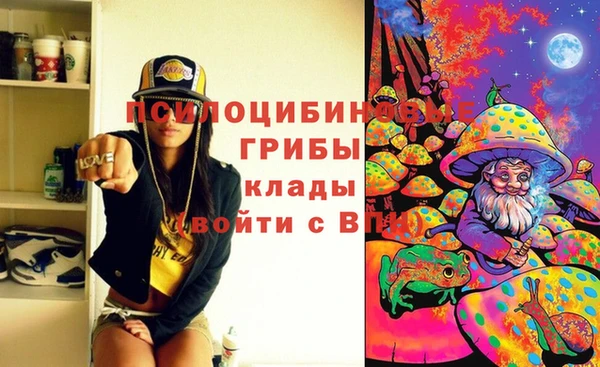 ешки Арсеньев
