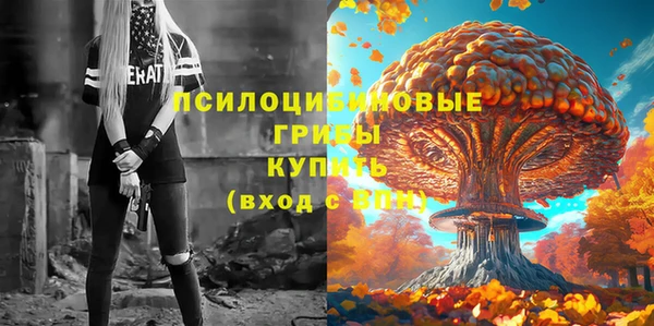 ешки Арсеньев