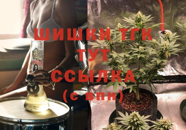 ешки Арсеньев