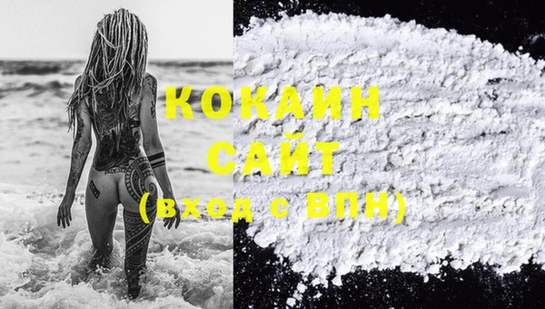 ешки Арсеньев