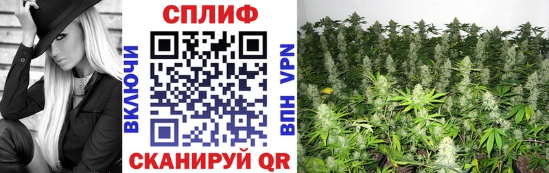 Купить закладки  Буйнакск  МАРИХУАНА LSD WEED 